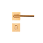 CE -17-